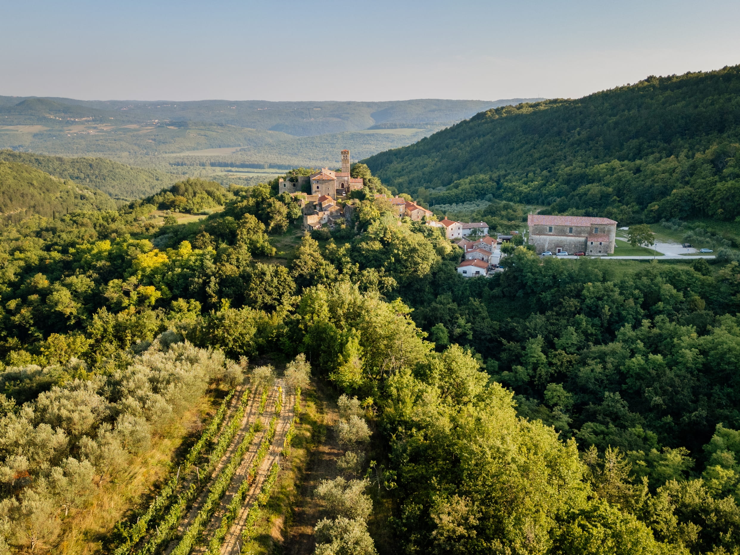 PROSLAVA SVETOG FRANČEŠKA / FESTA DI SAN FRANCESCO